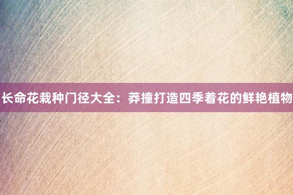 长命花栽种门径大全：莽撞打造四季着花的鲜艳植物