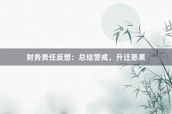 财务责任反想：总结警戒，升迁恶果